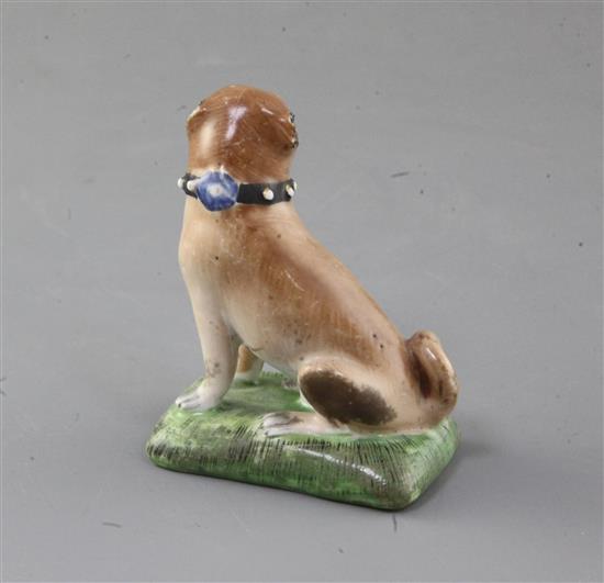 A Derby figure of a seated pug, c.1758, h. 8.1cm, tail restored